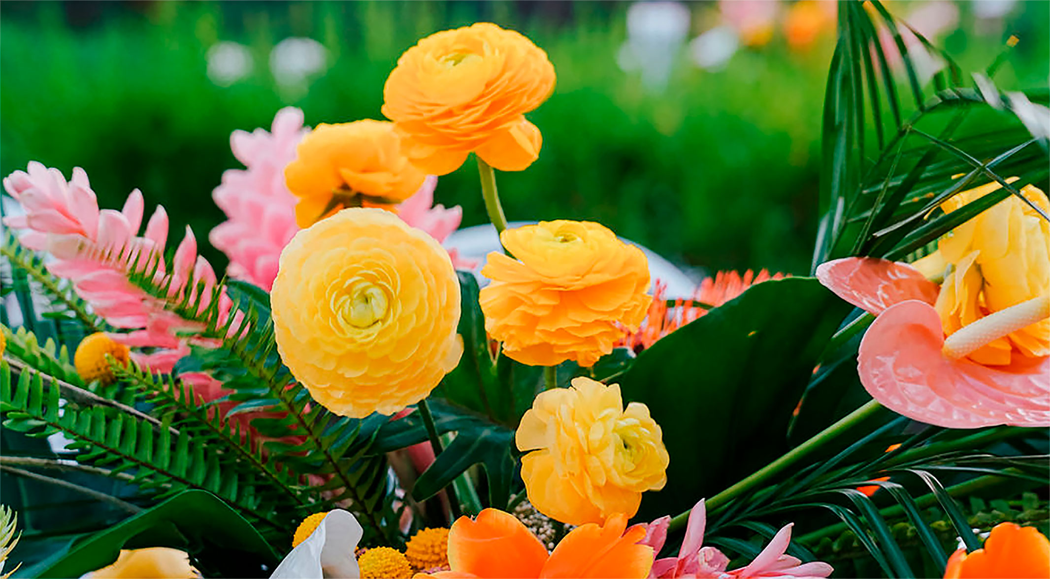 _Display-Floral
